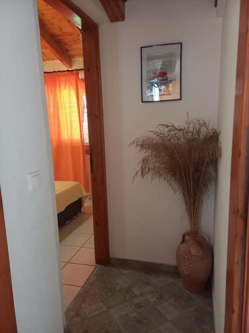 Ferienwohnung Δίχωρο Στούντιο Στον Κέντρο Του Αρμενιστή Armenistis  Exterior foto